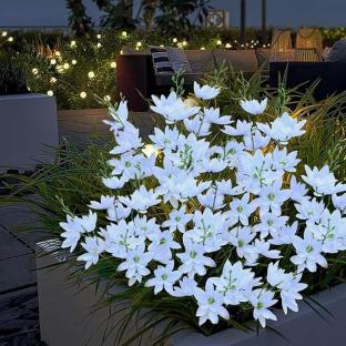 Solar-powered flower lights in a garden at night.