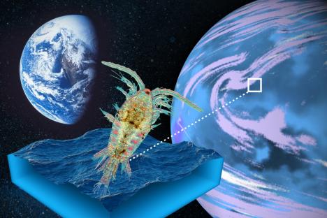 Alien plankton, oceans & 33 day years… Everything we know about ‘super earth’ K2-18b that is ‘teeming with life’