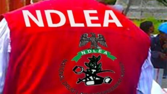 NDLEA arrests 60-year-old grandmother, major drug supplier in Kano
