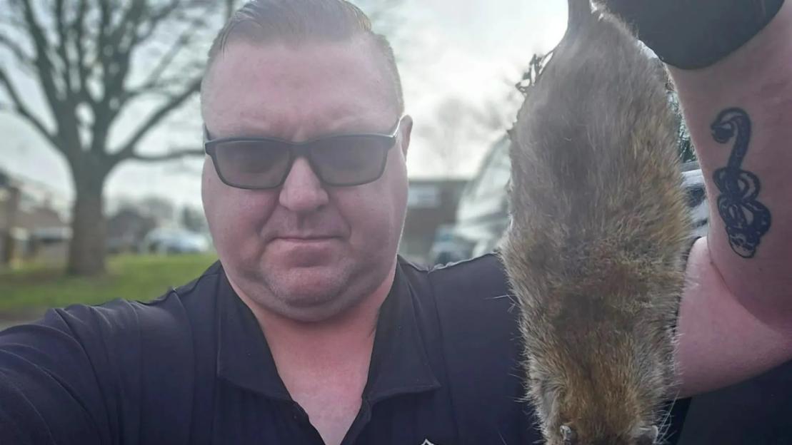 Brits brace for ‘horrendous’ winter of rat infestations as ‘20-inch’ giant rodents set to invade homes, experts warn