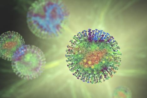 Group of viruses, computer illustration.