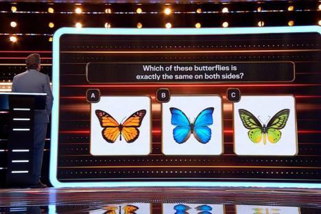 The 1% Club players struggle with tricky butterfly picture question – but could you get it right in time?