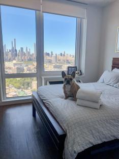 French bulldog sitting on a bed in front of a window with a city view.