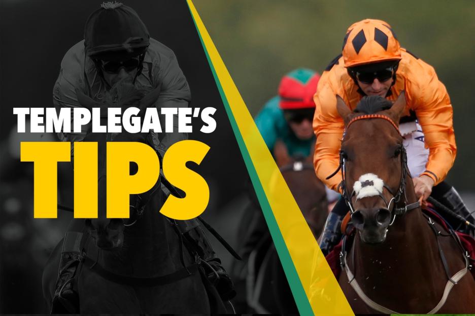 Horse racing tips: ‘He goes handicapping off a good mark’ – Templegate’s Sunday NAP can run a big race