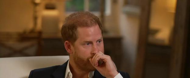 Prince Harry in an interview with BBC News.