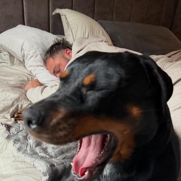 A black dog yawning in the foreground with a man sleeping in the background.