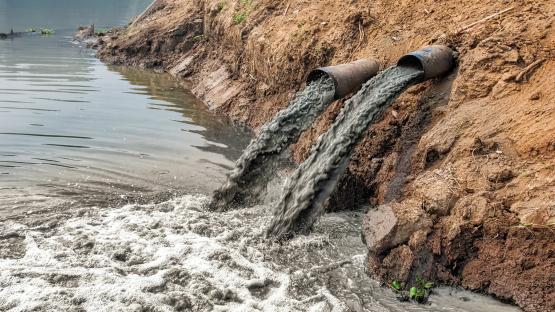 Eight bosses could face JAIL as almost all of England’s water companies probed for sewage spills