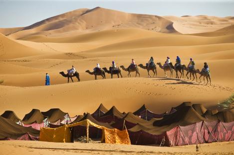 Camel caravan crossing Erg Chebbi desert with Berber tents in the foreground.