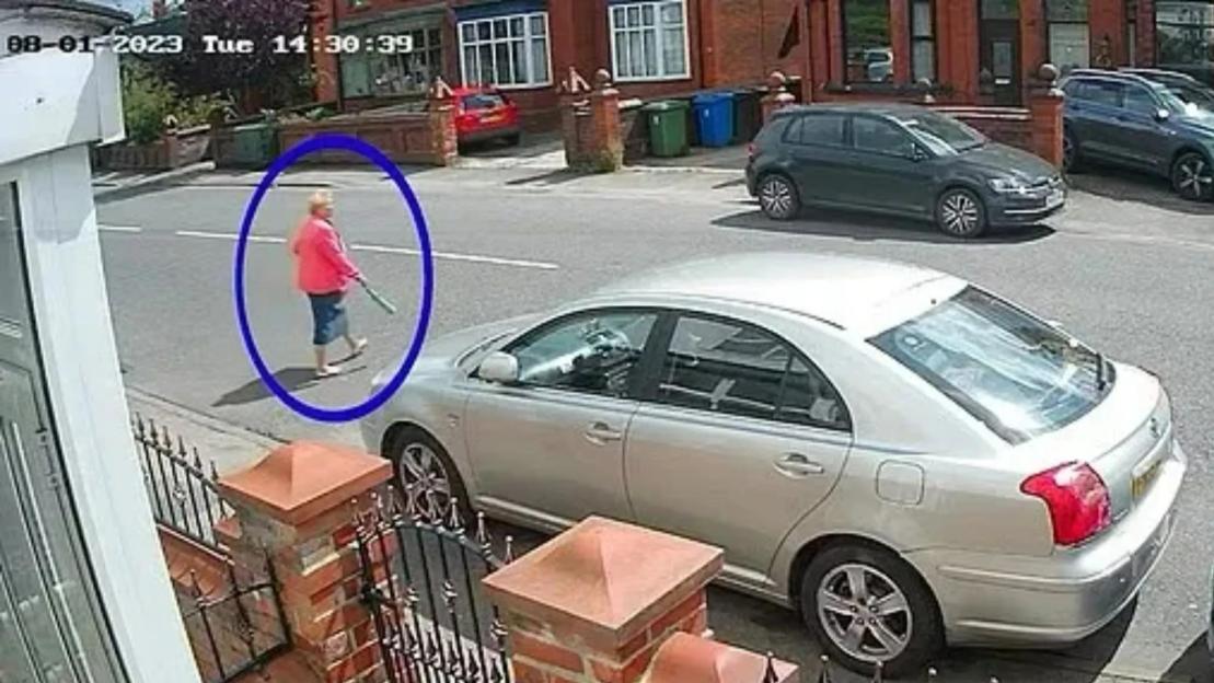 Shocking moment ex-footballer, 22, ploughs into elderly gran and flees before being hunted down by horrified bystanders