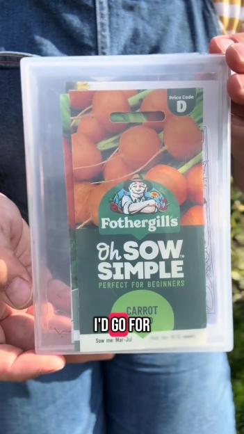Carrot seeds in a clear container.