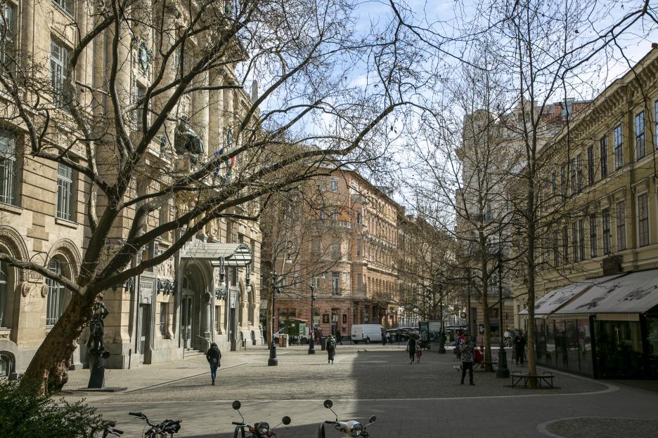 Budapest street scene with buildings and bare trees.