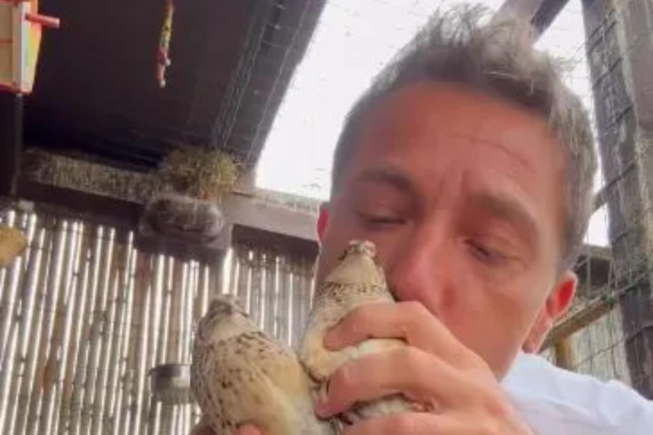 Gino D’Acampo SLAMMED for ‘highly inappropriate’ cooking video as fans say ‘that’s disturbing and upsetting’