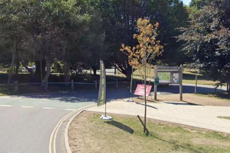 Woman ‘sexually assaulted’ in remote woodland next to major motorway as man, 42, arrested and cops searching ‘victim’