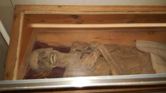 Mummified remains in a wooden case.