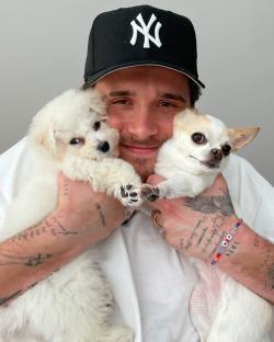 Man holding two small white dogs.