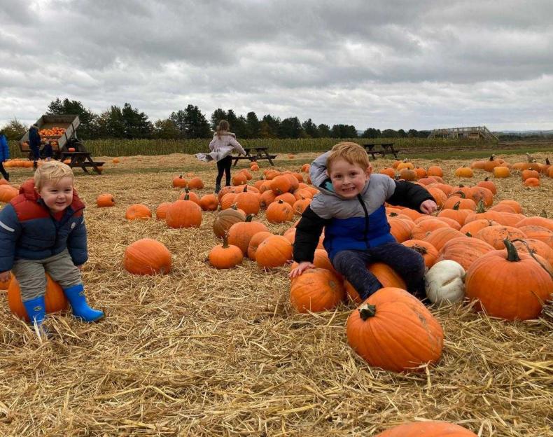 Ralph and Max, two young boys, sitting on pumpkins in a pumpkin patch.