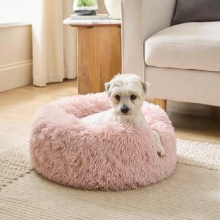 Small dog in pink fluffy pet bed.
