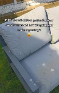 Mouldy garden cushions left outside all winter.