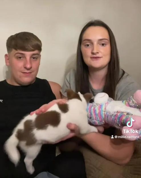 Couple holding a puppy.
