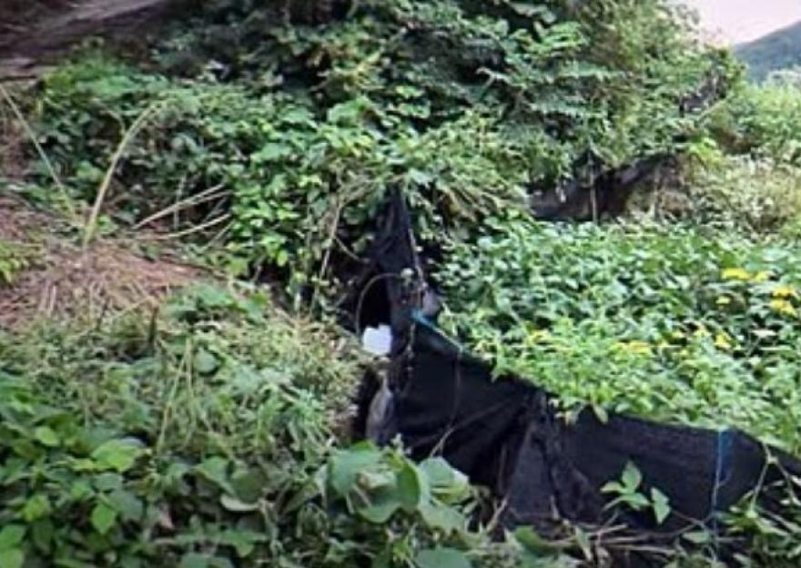 A suitcase found in a heavily vegetated area where Yoon Ji-ah's body was discovered.