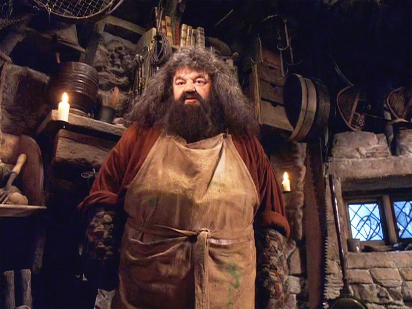 Robbie Coltrane as Hagrid in Harry Potter.