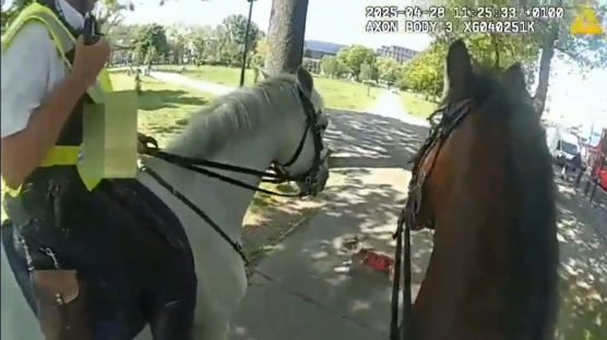 Screenshot of a police officer on horseback encountering another horse.
