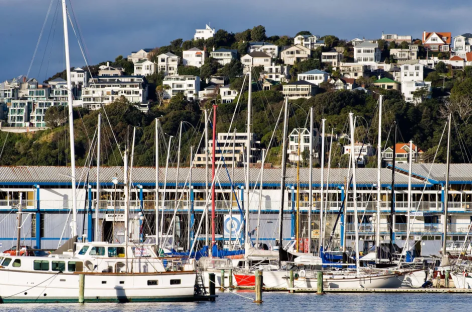 Sailboats docked at a marina with houses on a hill in the background.