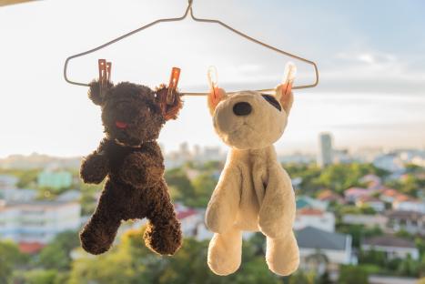 Two stuffed animals hanging on a clothes hanger to dry.