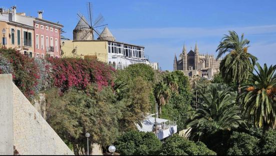 View of Palma de Mallorca, Spain, showing a windmill, buildings, and the Cathedral of Santa Maria of Palma in the background.