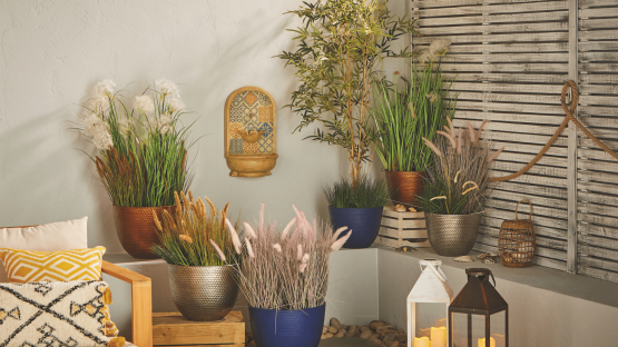 Shoppers run to Aldi for ‘gorgeous’ water feature that instantly transforms your garden into Mediterranean paradise