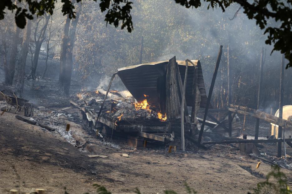 Burned-out truck in a forest fire.