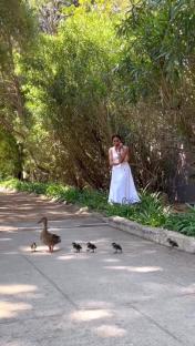 Meghan Markle watching ducklings walk by.