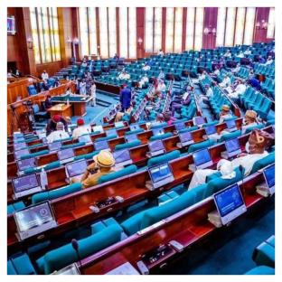 Electoral Act: Reps move to make voting compulsory for all Nigerians 