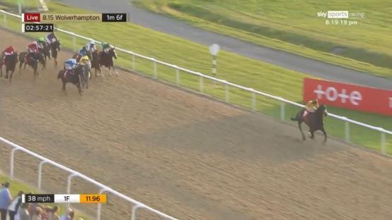 Horse race at Wolverhampton.