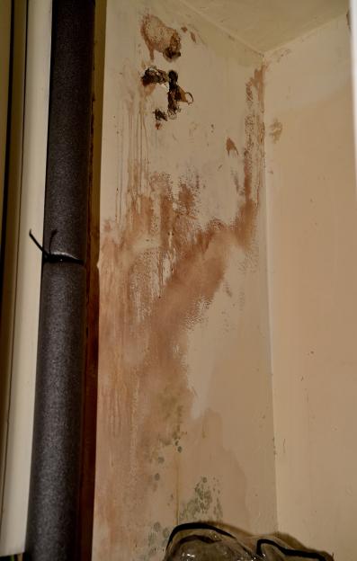 Mould and damp in family home