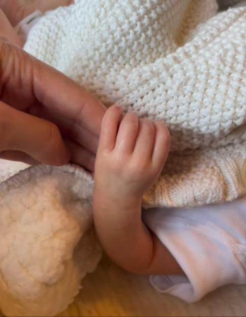 NINTCHDBPICT001035006212