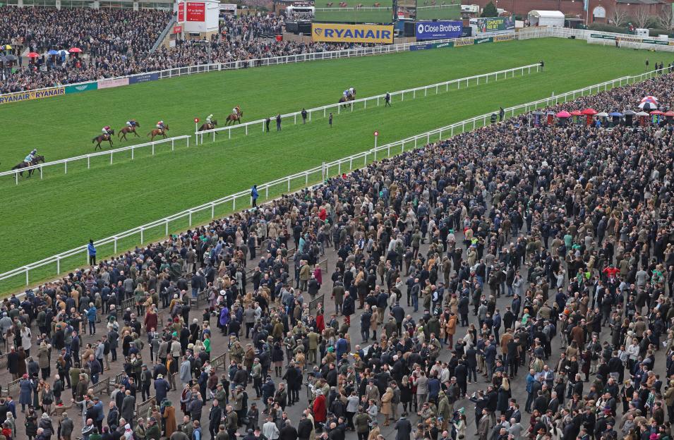 Cheltenham Festival day 3