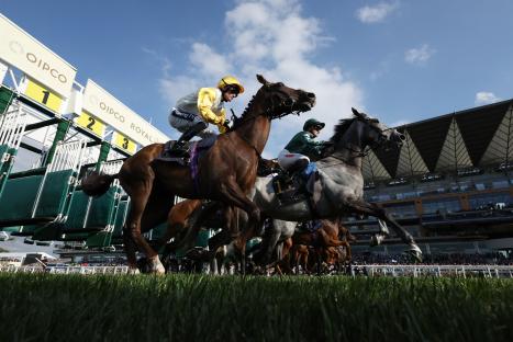 Horses racing at Ascot Racecourse.