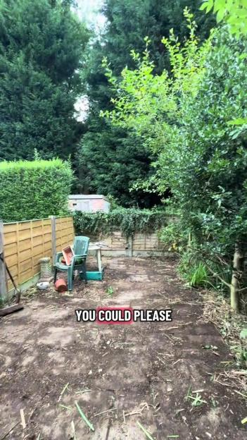 A neglected backyard with a dirt path, wooden fence, overgrown hedges, and a small shed in the background.