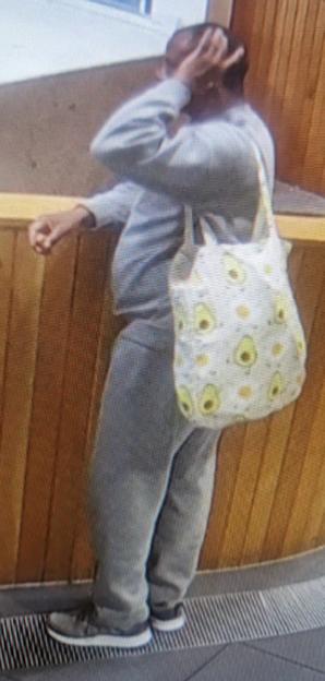 Police Capture Bold Epping Hotel Sex Assault Suspect After Unintentional Jail Release Triggers Urgent Manhunt