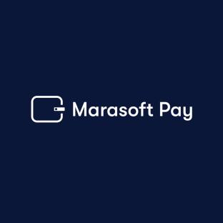 The Hidden Costs of Poor Payment Systems and How Marasoft Pay is set to offer a Solution 3