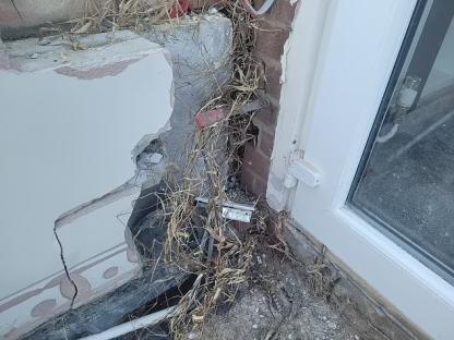 We were slapped with £60k repair bill after neighbours' WEEDS invaded our home – all the signs you could be next 2