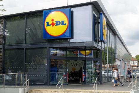 Lidl is selling a £3 buy that adds a ‘whimsical’ touch to your garden – just pop it on pathways or in flower beds