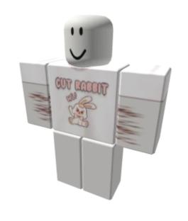 Roblox screenshot showing a shirt with