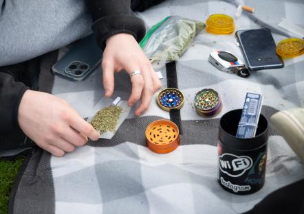 Person rolling a cannabis joint.