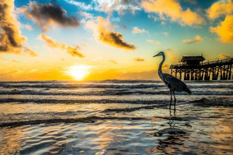 From beautiful beaches and stunning wildlife to actual astronauts, Florida is chock-full of bucket-list activities