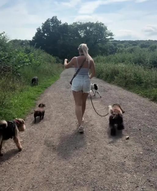 Woman walking multiple dogs on a path.