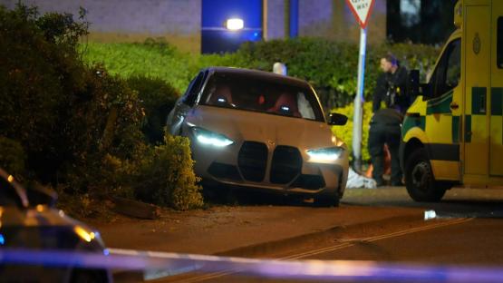 Woman, 25, killed as car ploughs into family outside Crawley amusement park with man, 33, arrested