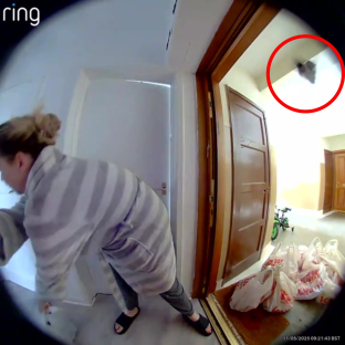 Ring camera footage of a person in a robe reacting to something flying near the ceiling.