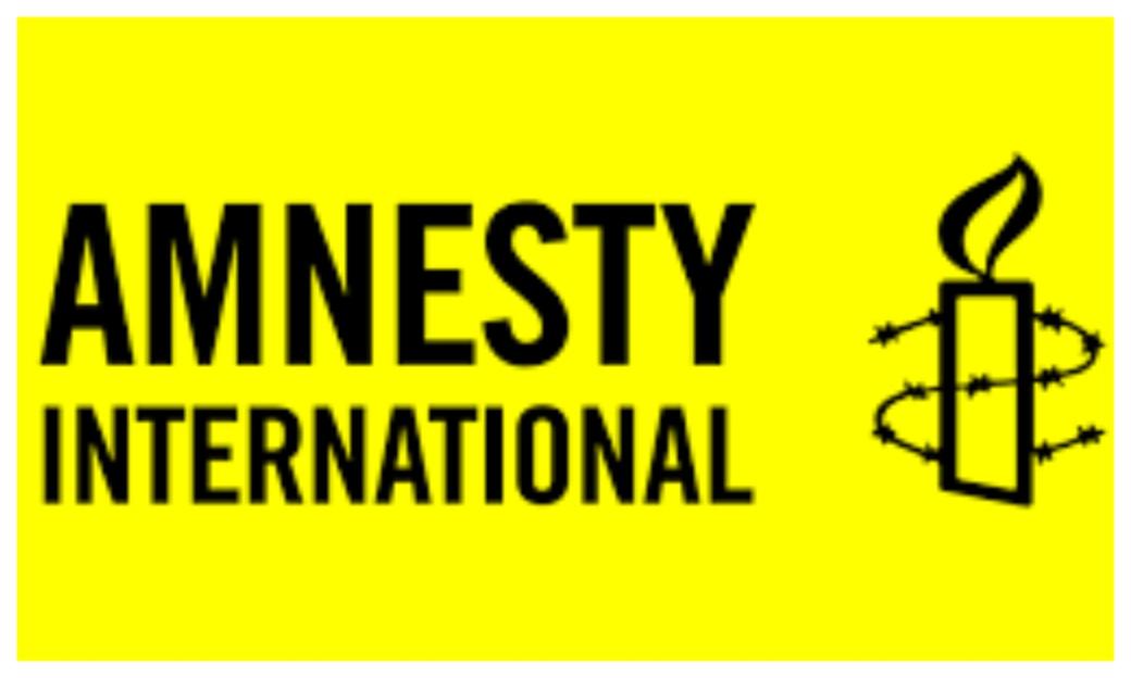 Benue remains under siege, over 500,000 displaced – Amnesty International